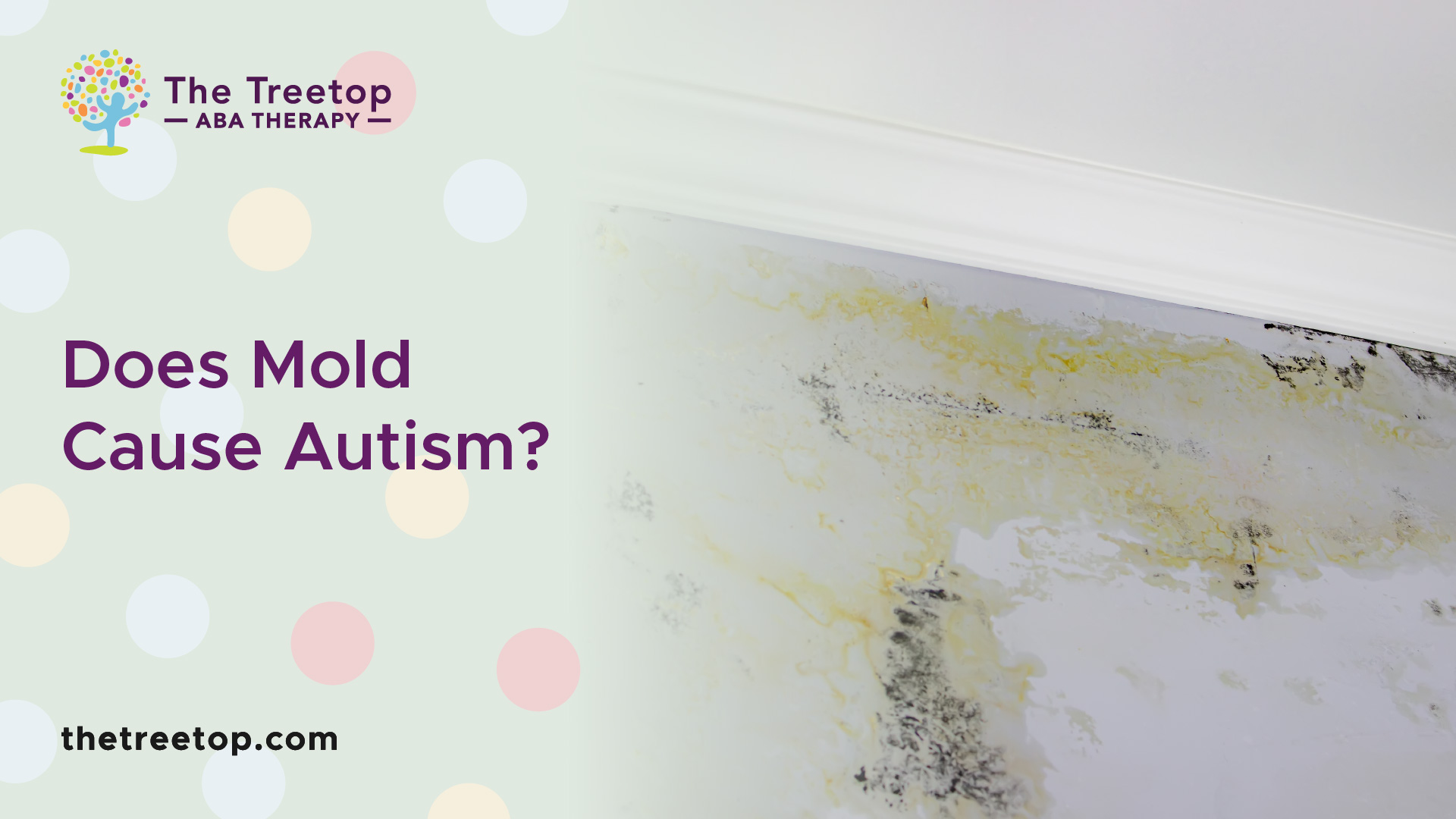 Does Mold Cause Autism?